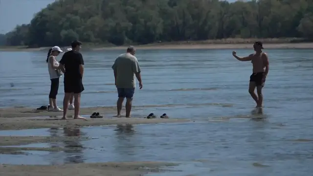 Video thumbnail for Germany: Extreme heat, drought take heavy toll on European agriculture, water supplies.