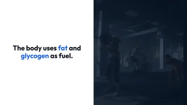 Video thumbnail for Effective Fat Burning Strategies