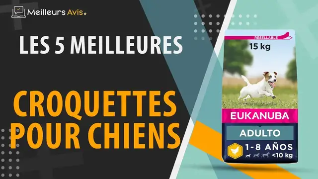 Video thumbnail for ⭐️ MEILLEURES CROQUETTES POUR CHIEN - Comparatif 2024