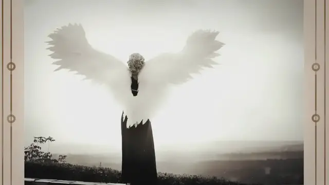'Video thumbnail for Angelic Realities: Unveiling their True Appearance'