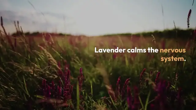 Video thumbnail for Natural Remedies for Sleep