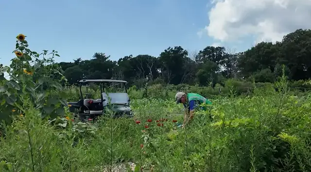 Video thumbnail for He retired from the city. Now he farms to feed Long Islanders in need