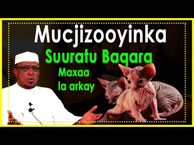 Video thumbnail for Mucziyooyinka suuratu baqara sheekh dirir