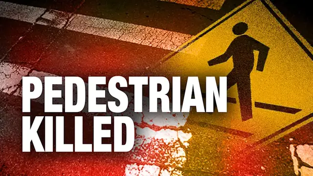 Video thumbnail for Driver fatally strikes pedestrian while trying to park in Hillsborough