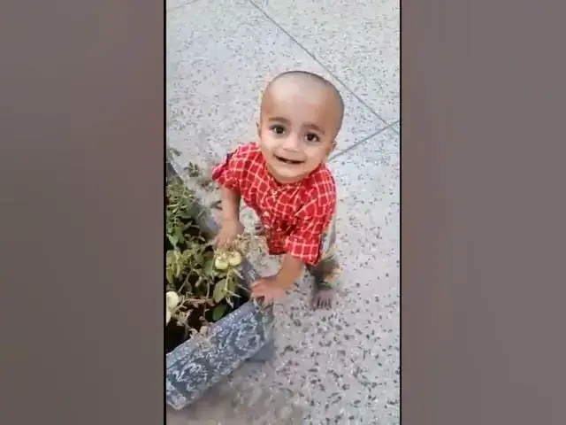 Video thumbnail for MORNING WALK BY POTA JEE | #youtubeshorts #children