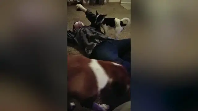 Video thumbnail for Boy Accidentally Tells Girls Dad He Loves Him When Asking Permission To Go On Date | Happily TV