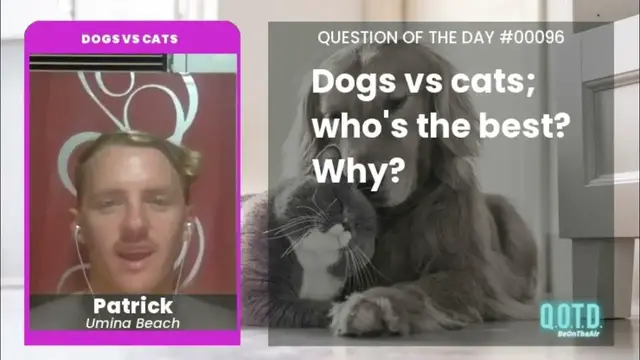 Video thumbnail for Patrick says cats are lazy and dogs are awesome. Period!