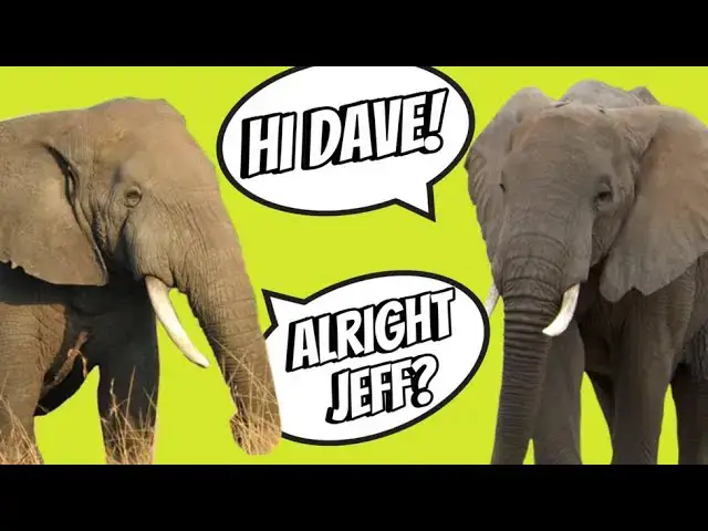 Video thumbnail for New Study Reveals Elephants Use Names to Call Each Other!