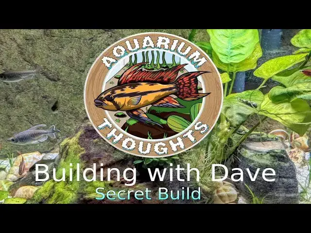 Video thumbnail for Dave's Aquariums Thoughts Live! - Building with Dave - March 11, 2024