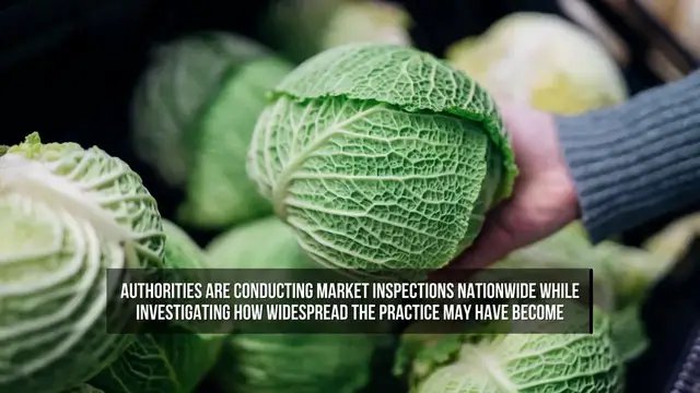Video thumbnail for China Investigates Formaldehyde Use to Preserve Fresh Cabbages.