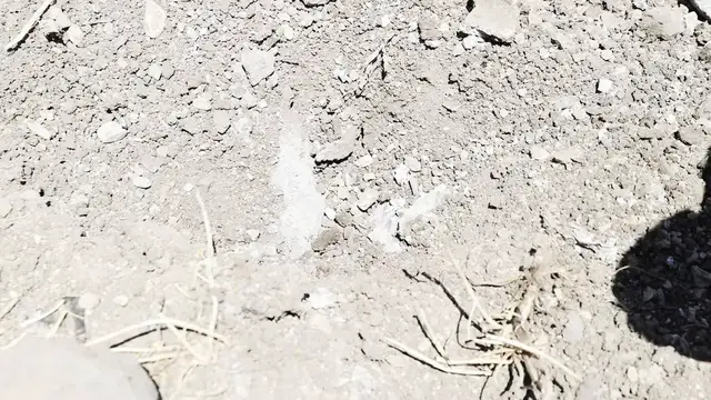 Video thumbnail for Syria: Families flee Syrian village after Israeli ground raid, airstrikes in Daraa.