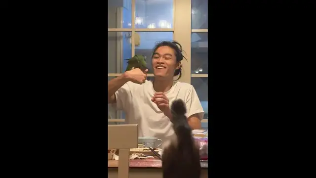 Video thumbnail for Bird Gently Pecks Cat’s Mouth During Close Encounter in Hangzhou