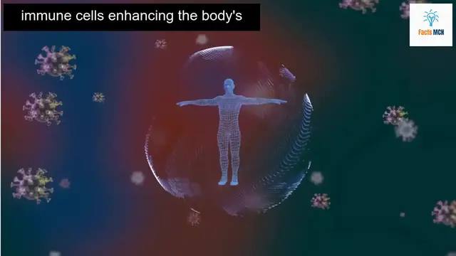 Video thumbnail for Discover How Eating Mushrooms Daily Impacts Your Health