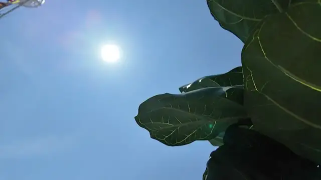 Video thumbnail for Long Island leaders, doctors warn of dangerous heat coming this way