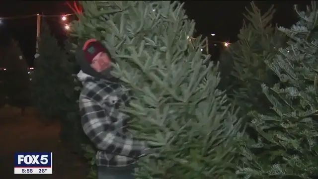 Video thumbnail for Real vs fake Christmas tree debate affected by tariffs