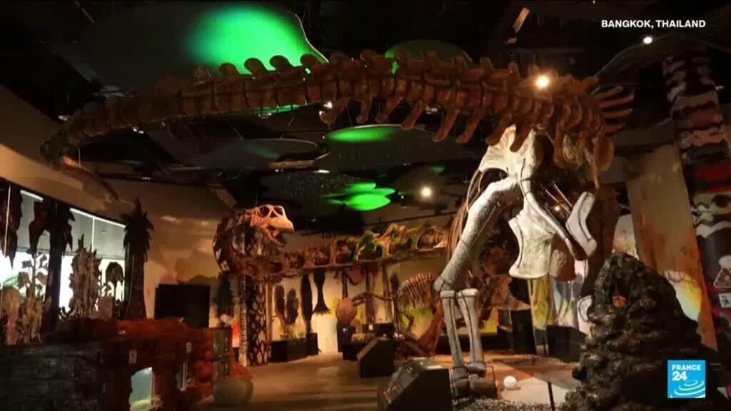 Video thumbnail for Scientists have identified a massive new dinosaur in Thailand