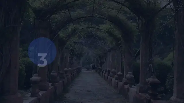 Video thumbnail for Vertical Gardening Mistakes to Avoid