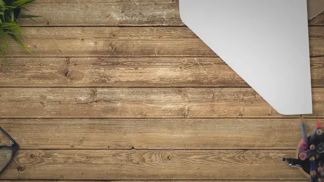 Video thumbnail for Are Cocker spaniels easy to toilet train?