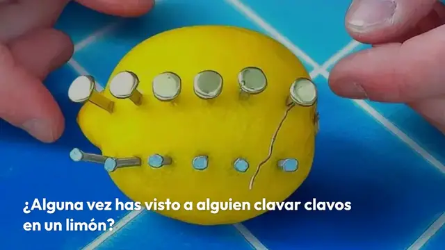 Video thumbnail for Clave clavos en un limón: el truco favorito de mi jardinero para salvar plantas