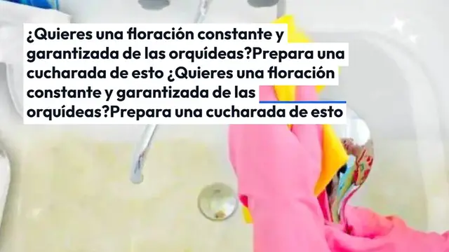 'Video thumbnail for ¿Quieres una floración constante y garantizada de las orquídeas? Prepara una cucharada de esto'