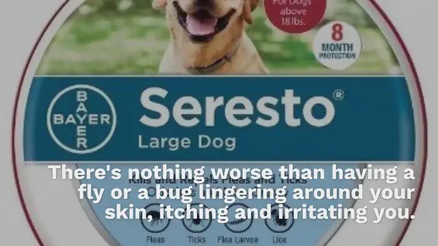 Video thumbnail for 5 best tick collars for dogs in 2022