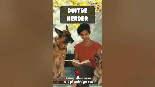 'Video thumbnail for Leer alles over je favoriete huisdieren'
