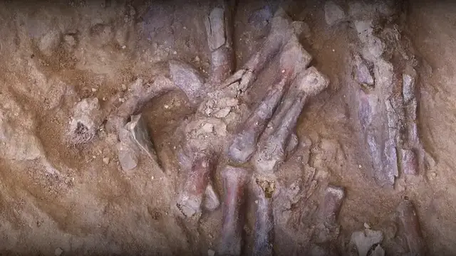 'Video thumbnail for Excavation Reveals Neanderthal Skeleton In Iraq'