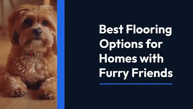 Video thumbnail for Best Flooring for Pet Owners