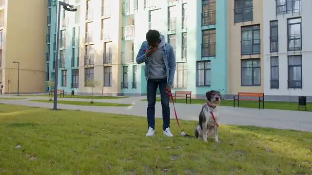 Video thumbnail for Choosing Eco-Friendly Flooring for Pet-Friendly Homes