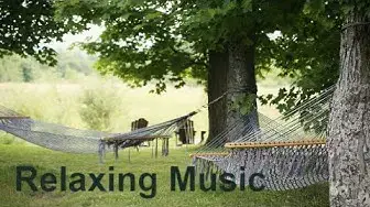 Video thumbnail for Relaxing Zen Meditation Music//Sleep Music//Stress Relief Music//Relax Mind and Body #zx2xb #relax