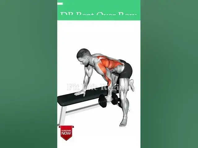 Video thumbnail for 5 Best Back Exercises To Build Mass and Strength (2024) #backworkout  #latworkout #buildmuscle