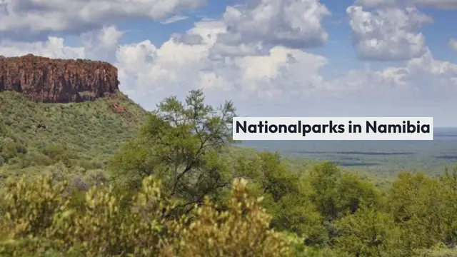 Video thumbnail for Nationalparks in Namibia Diese Naturschönheiten müsst ihr unbedingt gesehen haben