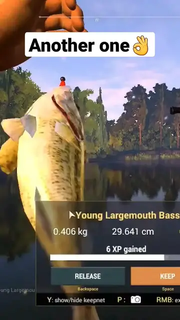 Video thumbnail for Catching some more dinks #fishingplanet #bassfishing #fishinggames