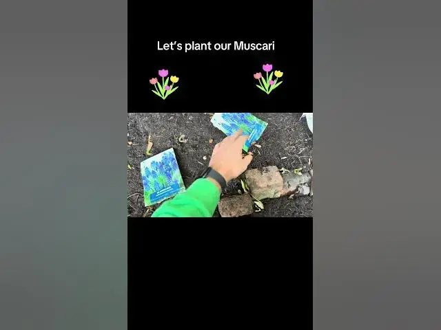 'Video thumbnail for Let’s Plant Muscari 🌿💙 | Easy Step-by-Step Guide to Grow Beautiful Grape Hyacinths This Spring! 🌸'