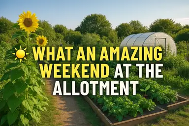 'Video thumbnail for ๐๐ฑ What an Amazing Weekend at the Allotment!'
