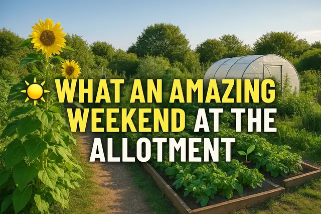 'Video thumbnail for ๐๐ฑ What an Amazing Weekend at the Allotment!'