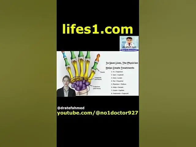 Video thumbnail for Wrist bones #shorts #wrist #bones #wristbons #anatomy Xray #orthopedics  #radiology