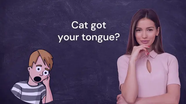 Video thumbnail for “Cat Got Your Tongue” | Common English Expression Meaning
