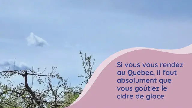 Video thumbnail for CANADA PHOTOTHÈQUE BOISSONS PRODUITS ET INGRÉDIENTS VOYAGES