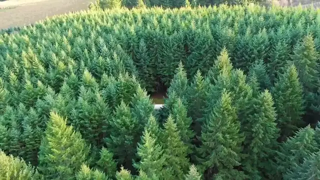 Video thumbnail for Daniel Dae Kim's Lost Keepsake