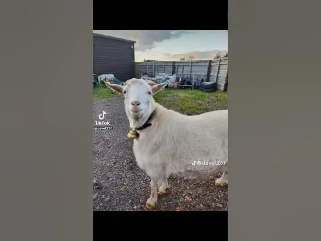 Video thumbnail for 17 November 2025