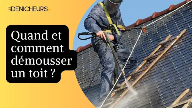 Video thumbnail for ⏲️Quand et comment démousser un toit ?🏘️