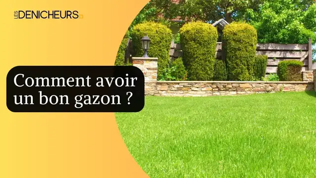 Video thumbnail for 🏠​Comment avoir un bon gazon ? 💯