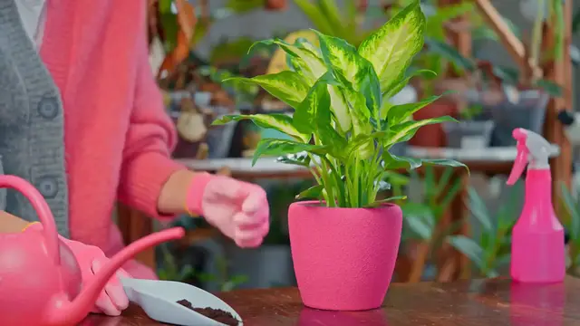 Video thumbnail for DIY Planter Boxes