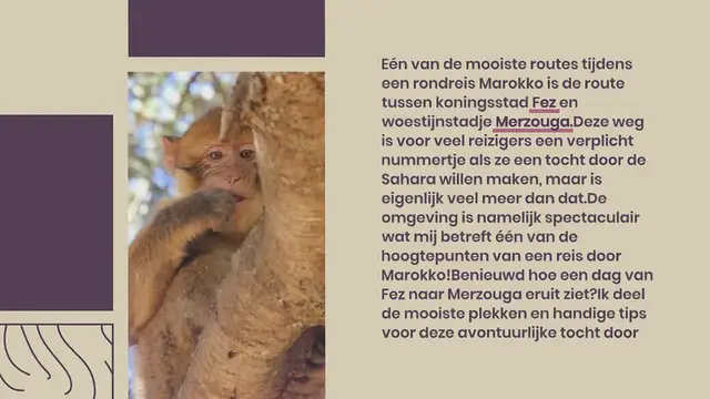 Video thumbnail for VAN FEZ NAAR MERZOUGA: SPECTACULAIRE ROUTE NAAR DE SAHARA!