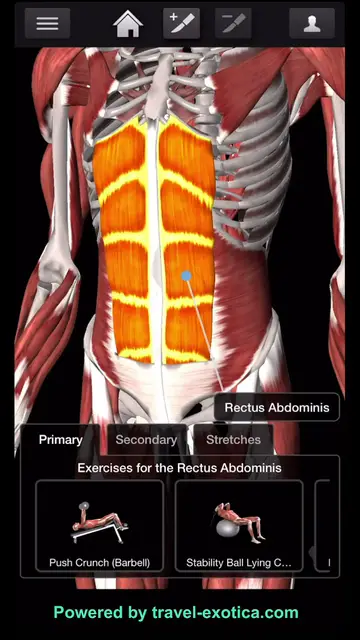 'Video thumbnail for Bodybuilding - Abdomen 6 Packs Workouts'