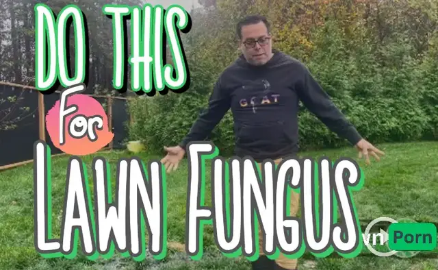 'Video thumbnail for Assessing A Client's Lawn With Fungus and Standing Water   Let's Talk Compaction  #SaveYourGreen'