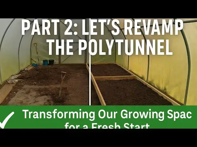 'Video thumbnail for 🎥 ✅ 🌿 Part 2: Let’s Revamp the Polytunnel! 🌱 | Transforming Our Growing Space for a Fresh Start 🎧'