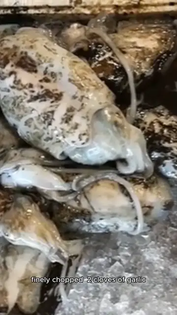 Video thumbnail for oyster stew recipe