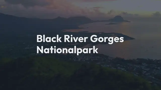 Video thumbnail for Black River Gorges Nationalpark Ein grüner Juwel auf Mauritius